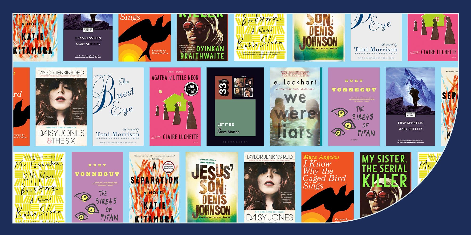 book cover images in three rows against a light blue background with a dark blue border